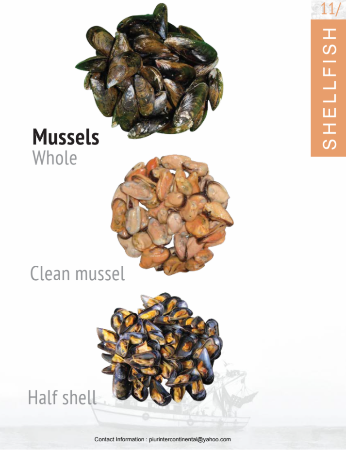 Mussels