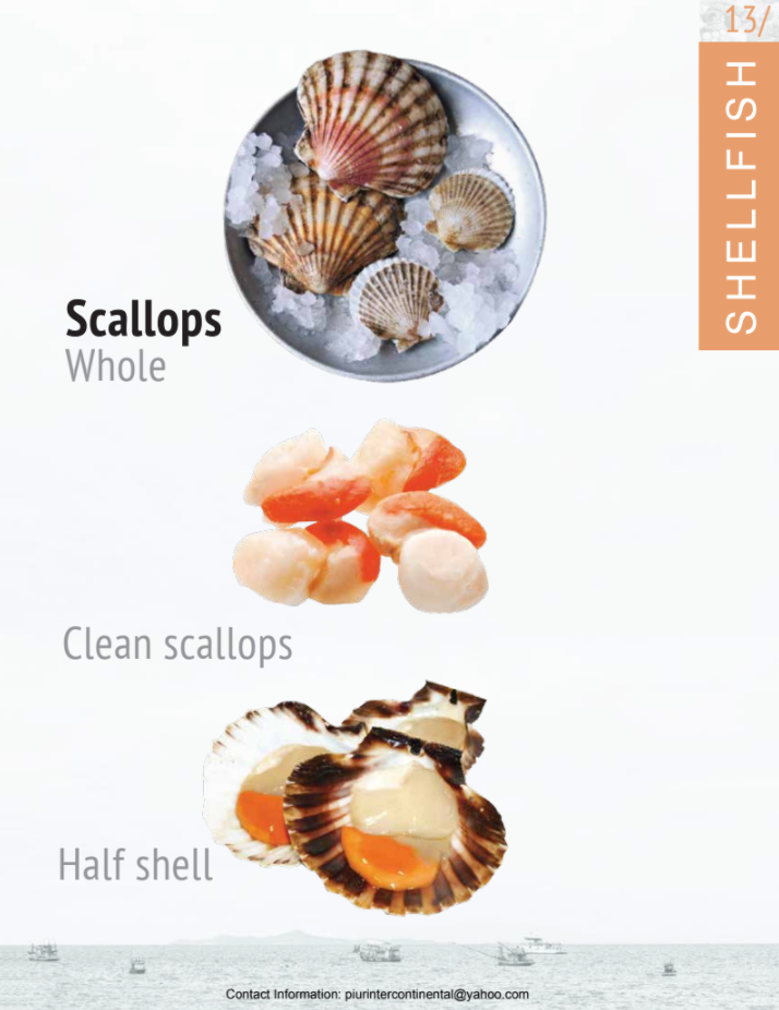 Scallops