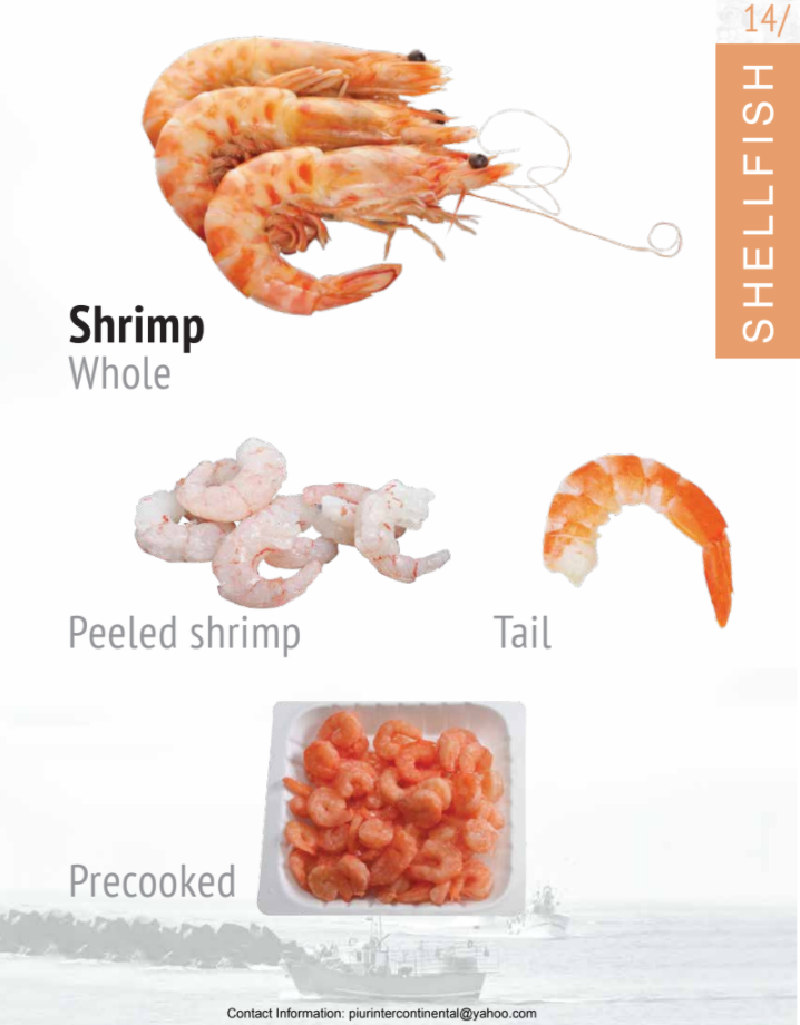 Shrimp